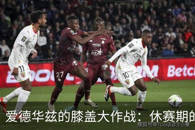 爱德华兹的膝盖大作战：休赛期的“回血”之旅